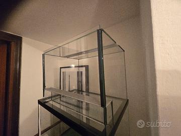 terrario, teca per rettili