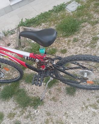 Bicicletta bambino