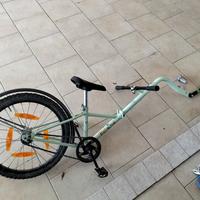 Camellino l originale 