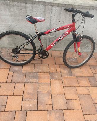  MTB da 24"