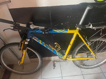 Mtb da uomo