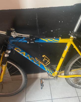 Mtb da uomo