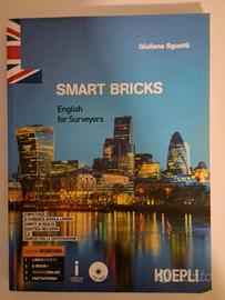 Smart brics