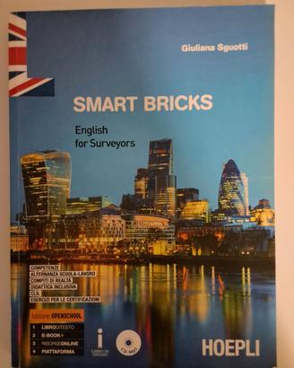 Smart brics