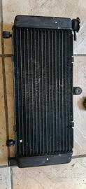 Radiatore Hornet 2004
