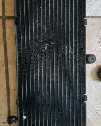 Radiatore Hornet 2004