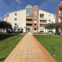 MULTILOCALE A PINETO