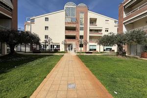 MULTILOCALE A PINETO