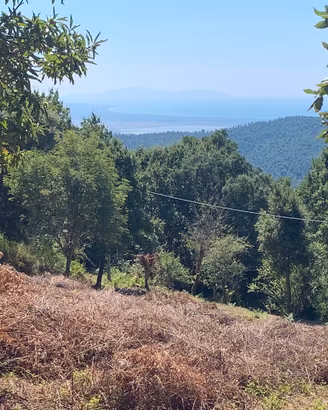 Terreno panoramico 3.500 mq a tirli