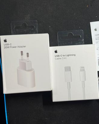 APPLE caricabatteria e cavo lightning Originale