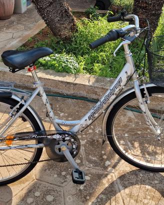 Bicicletta raggio 26