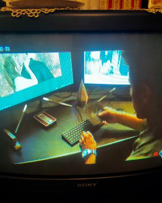 SONY TRINITRON COLOR TV 29 POLLICI