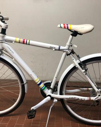 Bicicletta regina “piuma”
