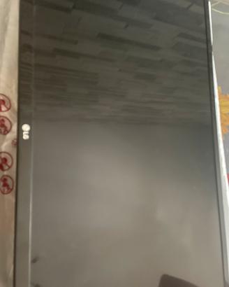 Tv monitor LG28MT42VF-PZ