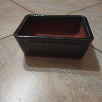 Vaso bonsai