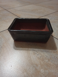 Vaso bonsai