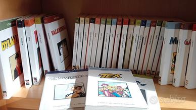 serie libri "i classici del fumetto"