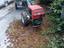Immagine 2