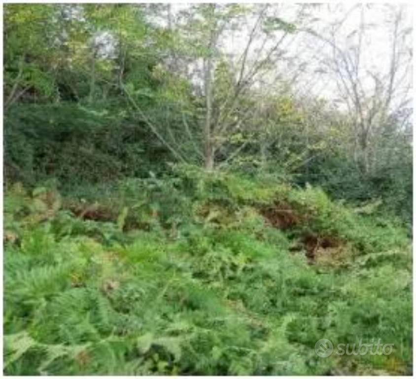 Immobile in asta di 899 m² a Rocca Priora - Vista 5