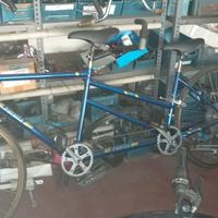tandem citybike