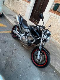 hornet