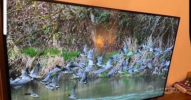 Smart Tv Samsung 55 pollici 4 k perfetto stato lo