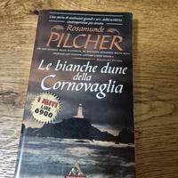 Le bianche dune della Cornovaglia