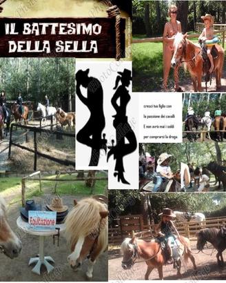 Cavalli e pony