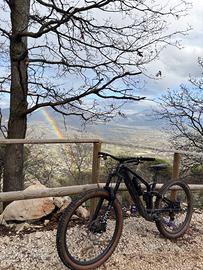 Trek Fuel Ex-e (carbon/enduro)