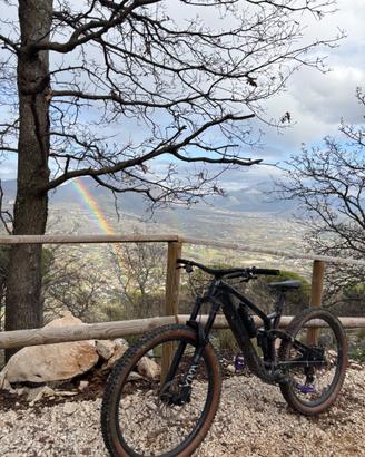 Trek Fuel Ex-e (carbon/enduro)