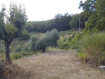 Casa indipendente con terreno agricolo