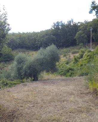 Casa indipendente con terreno agricolo