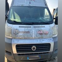 Fiat Ducato  anno 2008