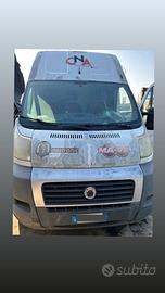 Fiat Ducato  anno 2008