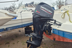 Mercury 40/60 PRO 150 ore