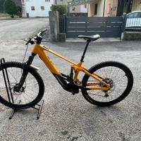 Orbea wild h10