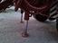 Immagine 14