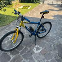 Bicicletta Mountain Bike