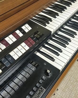 Organetto elettrico 