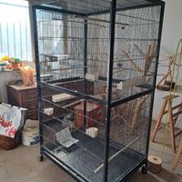 Voliera molto grande