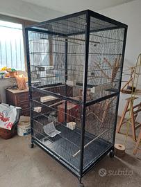 Voliera molto grande