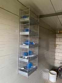 Gabbia 5 piani