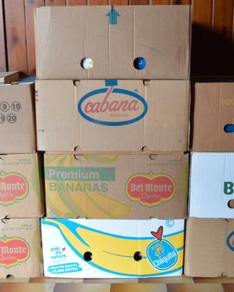 LOTTO STOCK 350 LIBRI 10 SCATOLONI