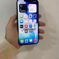Apple iPhone 13 Pro Max green 128 GB - 8868