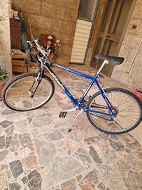 Bici bicicletta mountain bike Atala GOMMA FORATA