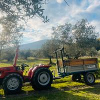 Antonio Carraro Tigre 4300 Country