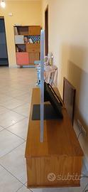 televisione