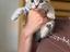 Immagine 5
