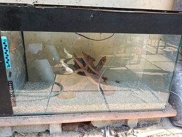 Acquario perfetto condizioni