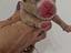 Immagine 5